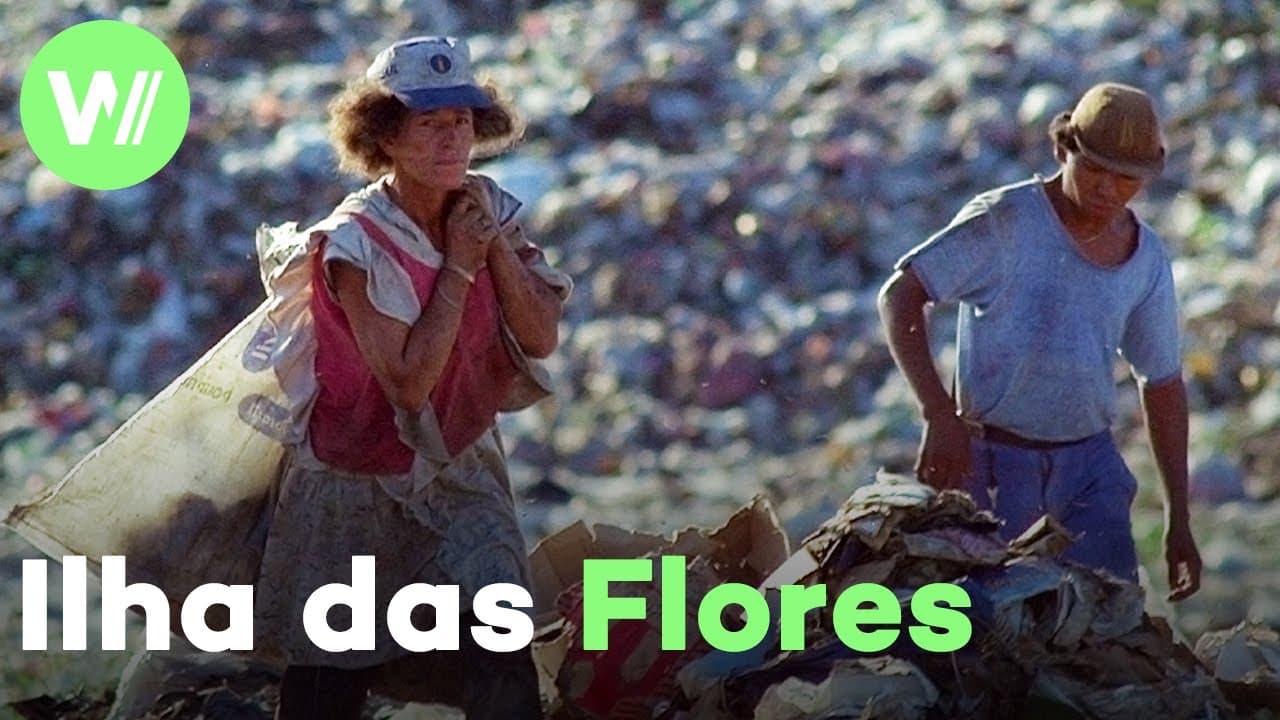 Ilha das Flores (Jorge Furtado, Brasil, 13 minutos, 1989)